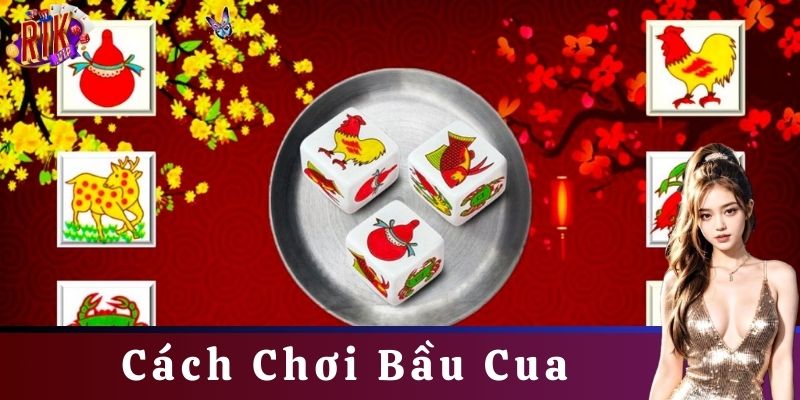 Luật chơi bầu cua- Cách chơi bầu cua