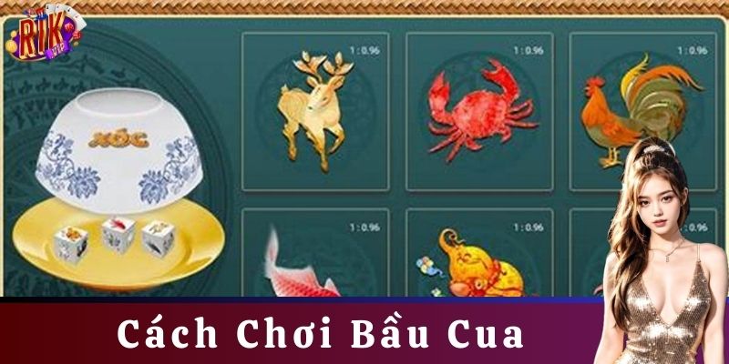 Ví dụ về cách chơi bầu cua thực tế