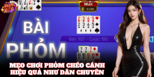 Bí quyết giữ bài tốt trong Chơi Phỏm Chéo Cánh